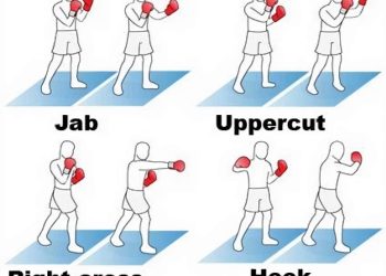 Who Won the Golden Glove 2016 Boxing in Georgia? Exploring the Champions and Their Journey