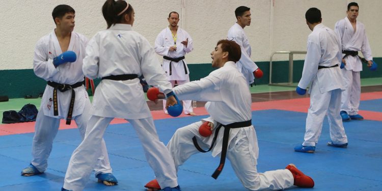 Unraveling the Essence of Mexican Ground Karate's Unique Techniques