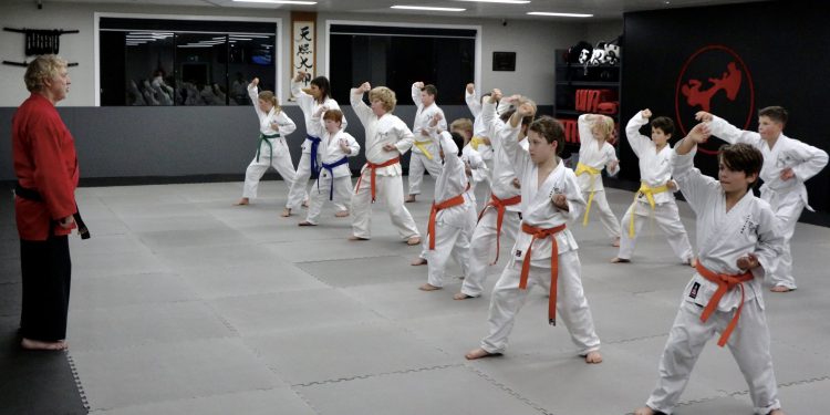 Embracing the Challenge of Mixed Martial Arts Training