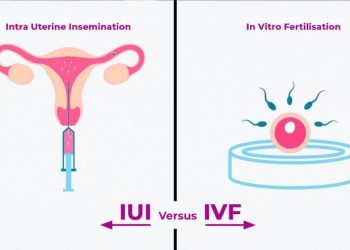 Who Won the Golden Glove 2016 Boxing in Georgia? Exploring the Champions and Their Journey