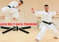 The Essence of Black Belt Wisdom in Karate Mastery