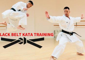 The Essence of Black Belt Wisdom in Karate Mastery