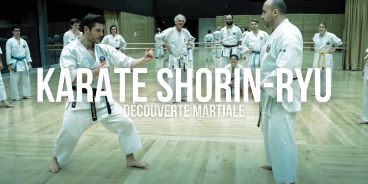 Karate do Shorin Ryu: A Path of Life