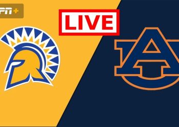 Cricket Streaming Unlocked: Elevate Your Game Viewing Experience