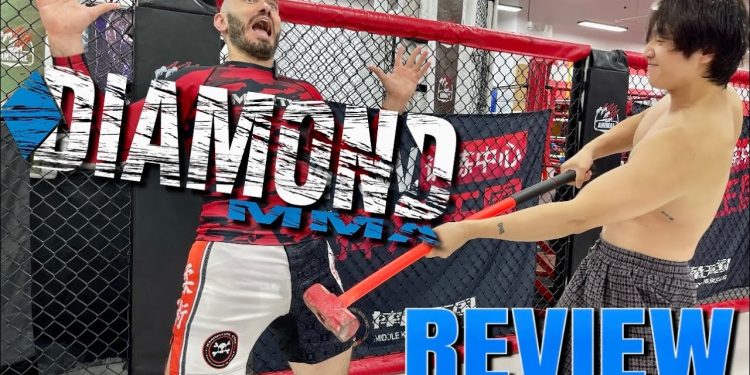 MMA Cup in Combat Sports