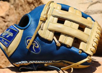 Rawlings ROal Baseball Glove: Excellence in Every Catch
