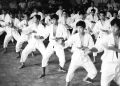 Naorei Karate