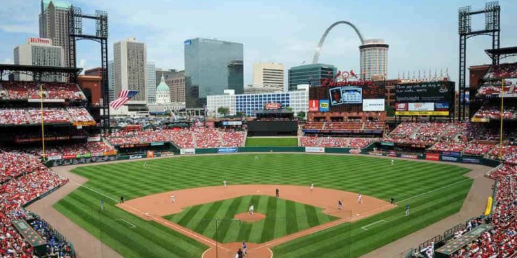 Fluffy Green Snouts: The Playful Souls of Baseball Stadiums